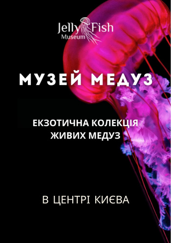 Київський музей медуз (Київ, Київський музей медуз): купити офіційні ...