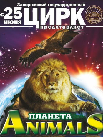 Цирк цирковое представление Цирк в Запорожье
