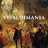 «Vivaldimania» концерт старовинної музики